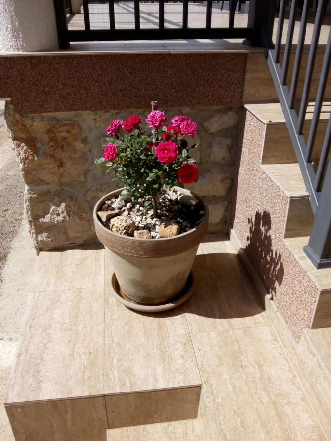 Apartment Plitvice ستاريغغاد باكلينتسا المظهر الخارجي الصورة